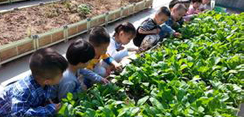 陈耀从：泉州·中国粮食城的守护者