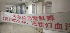 社区O2O的抉择求轻还是求重？