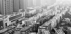 谁是物业管理区域的业主？
