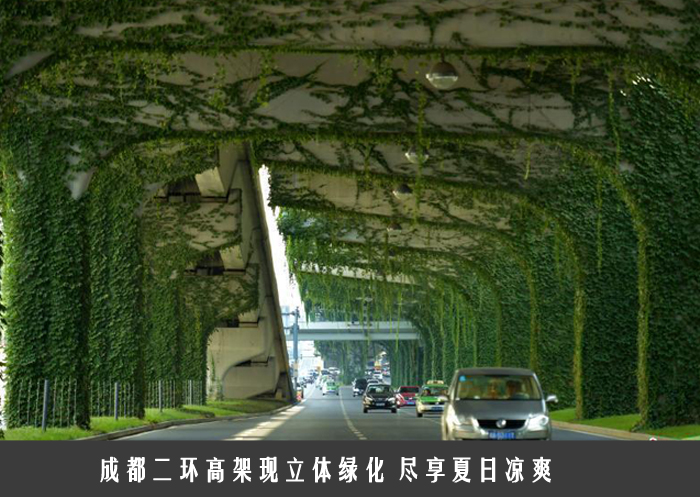 成都二环高架现立体绿化 尽享夏日凉爽