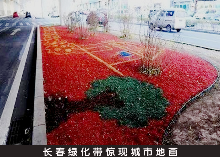 长春绿化带惊现城市地画
