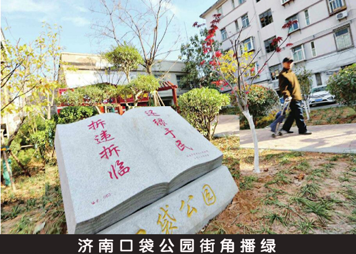 济南口袋公园街角播绿