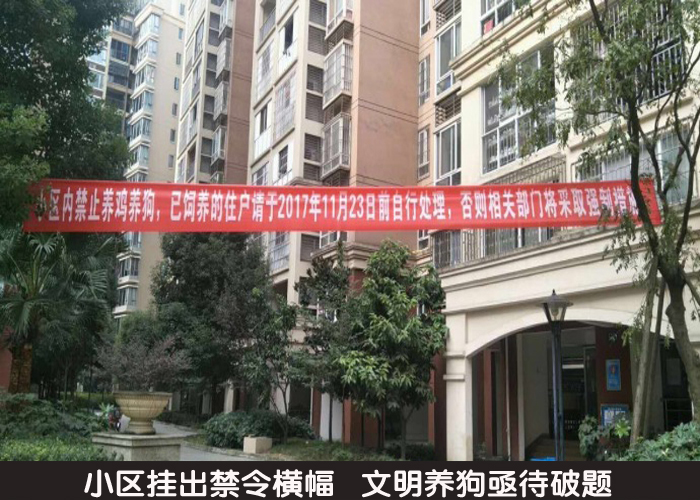 小区挂出禁令横幅  文明养狗亟待破题 
